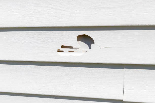 Best Insulated Siding Installation  in Sibley, LA