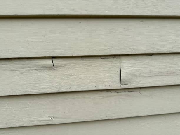 Best Steel Siding Installation  in Sibley, LA